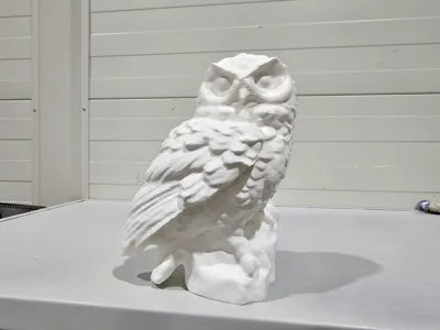 Hedwig from Harry Potter