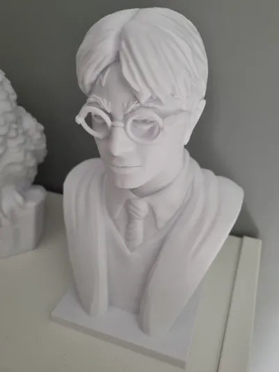 Harry Potter bust