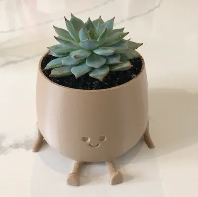 Smiling Happy Flower Pot