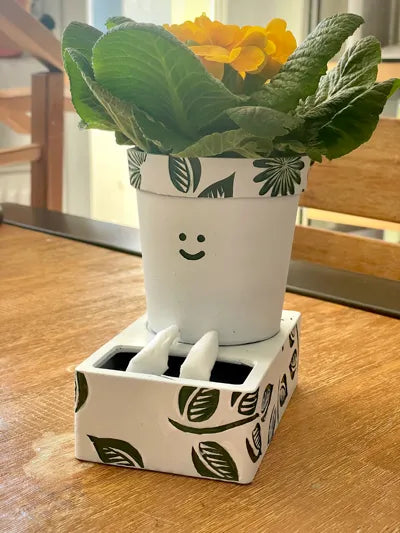 Cute Self-Watering Planter