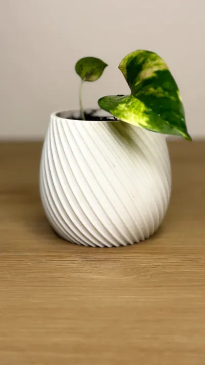 Spiral flower pot