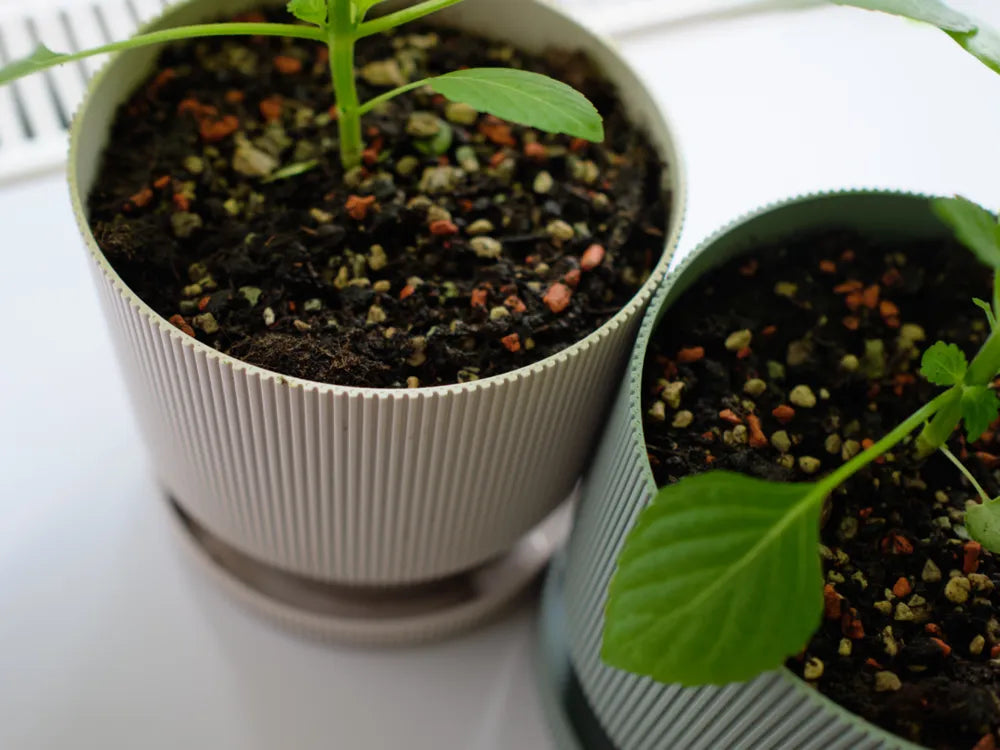 Planter Pot with Drip Tray