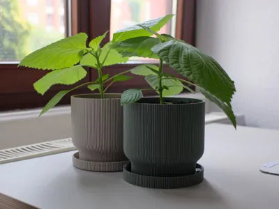 Planter Pot with Drip Tray