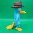 Perry the Platypus